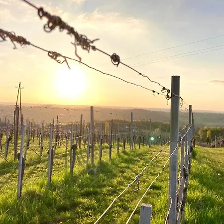 Гостевой дом Weingut Radl Клёх