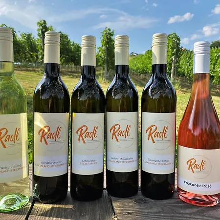 게스트하우스 Weingut Radl
