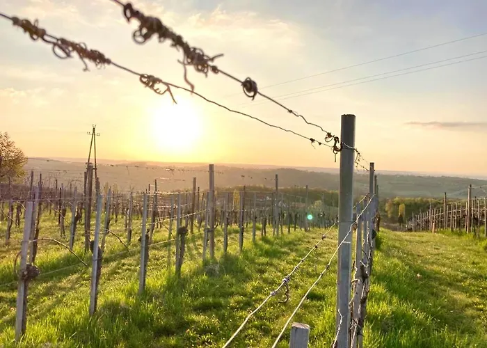 Gasthof Weingut Radl Klöch